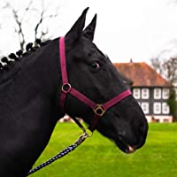 Cabestro para caballo de sangre caliente- sangre completa- sangre fría- cabestro- cabestro- pasto- 2 posiciones…